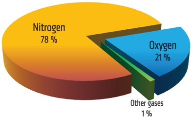 Blog Image 2