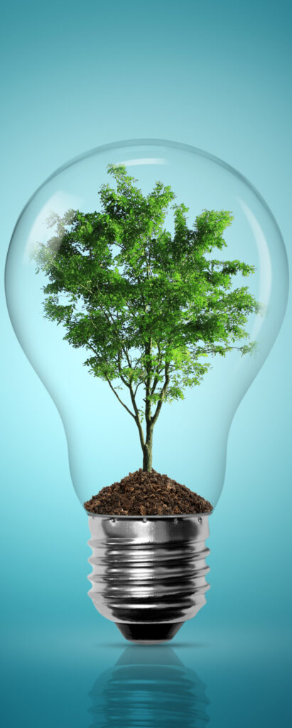 Eco Friendly 1